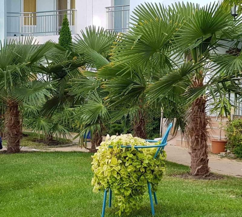 Yassen Holiday Village Slântsjev Brjag Eksteriør bilde