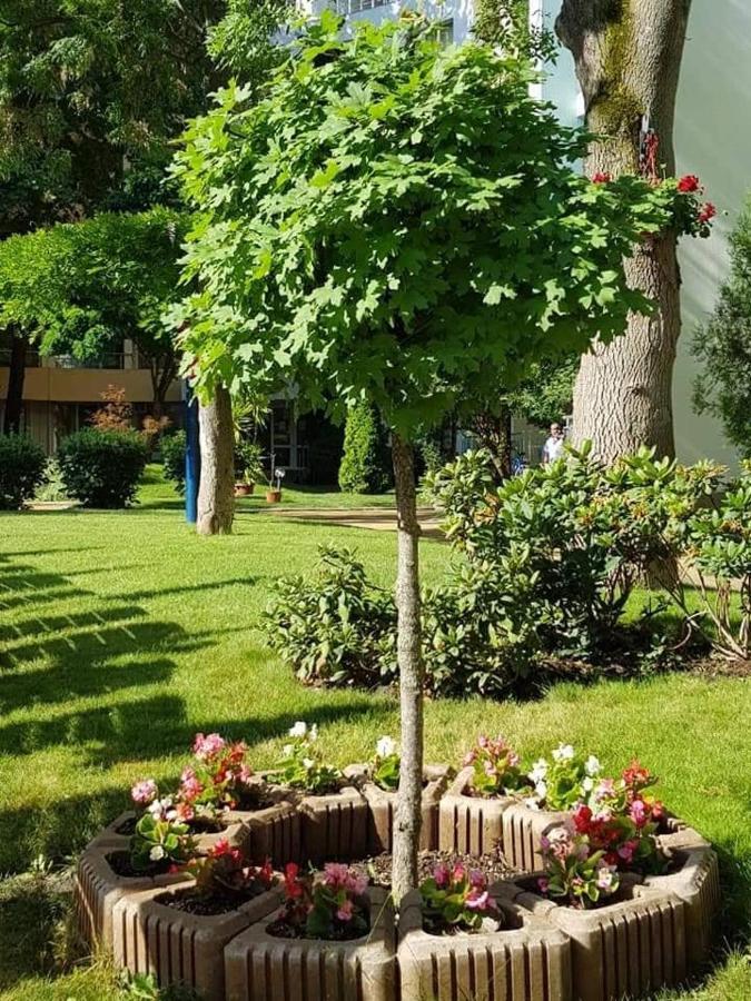 Yassen Holiday Village Slântsjev Brjag Eksteriør bilde